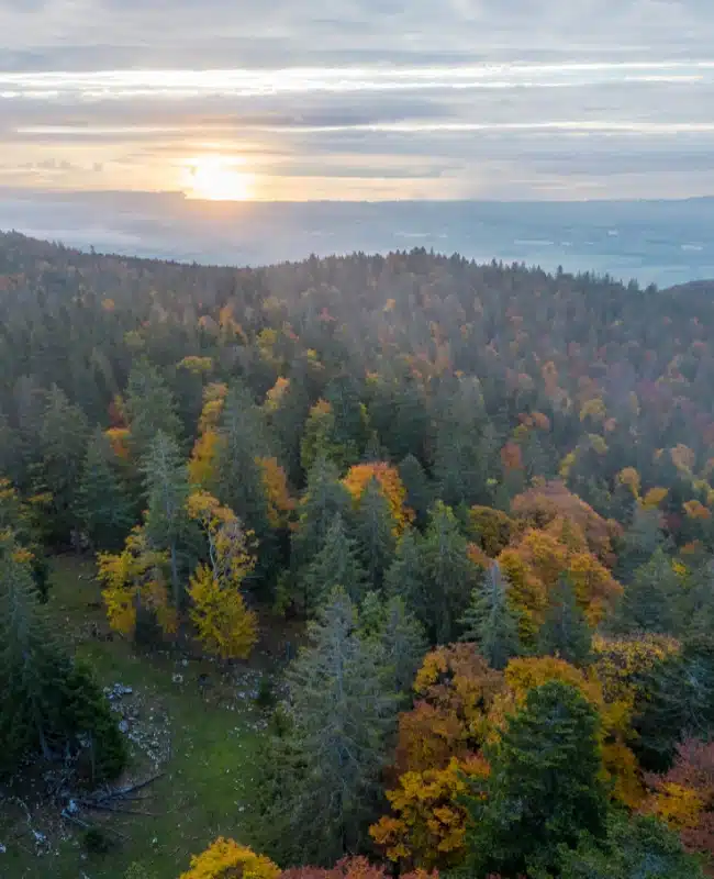 Que faire dans le Jura