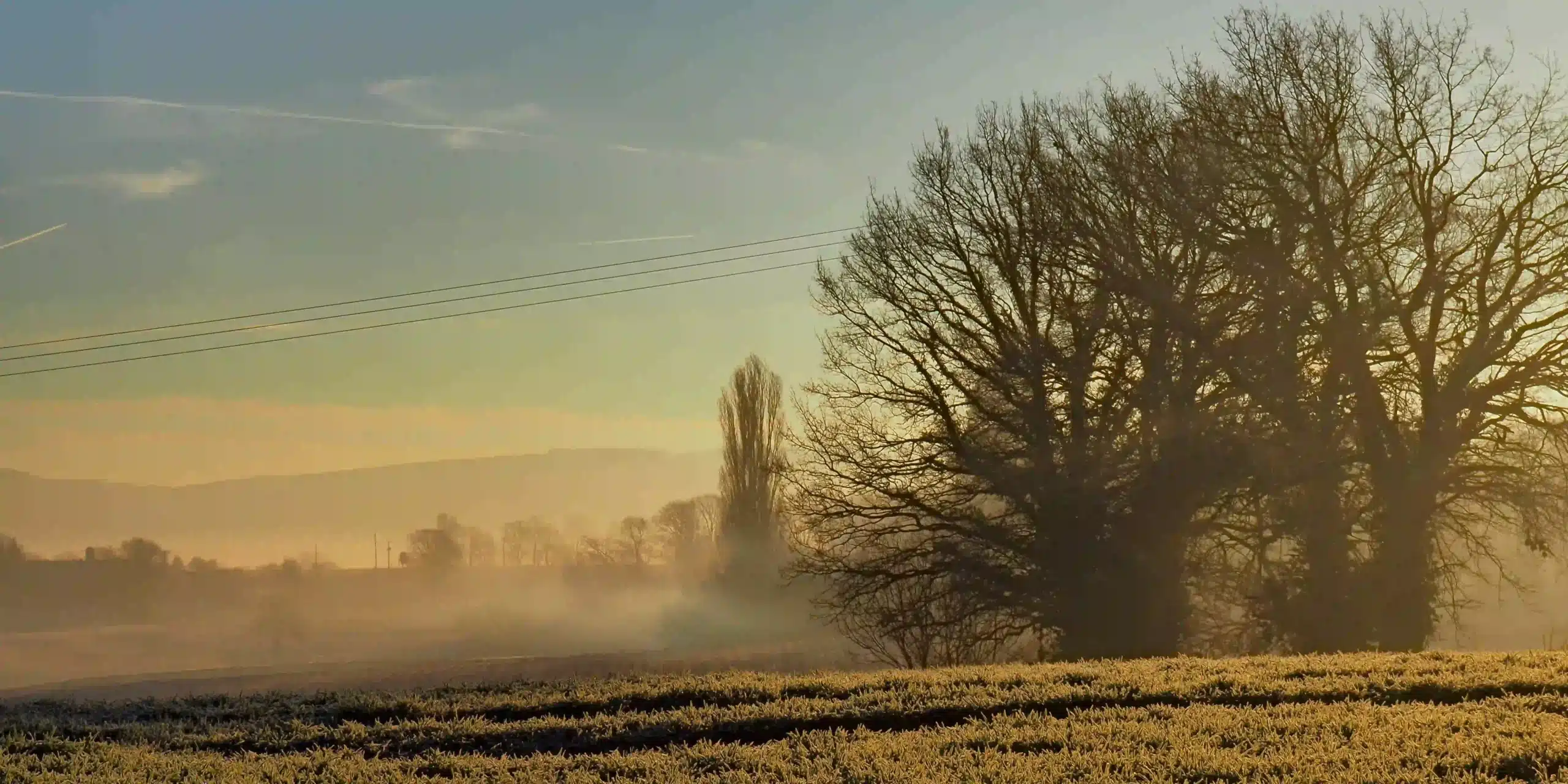 Bresse nature_result
