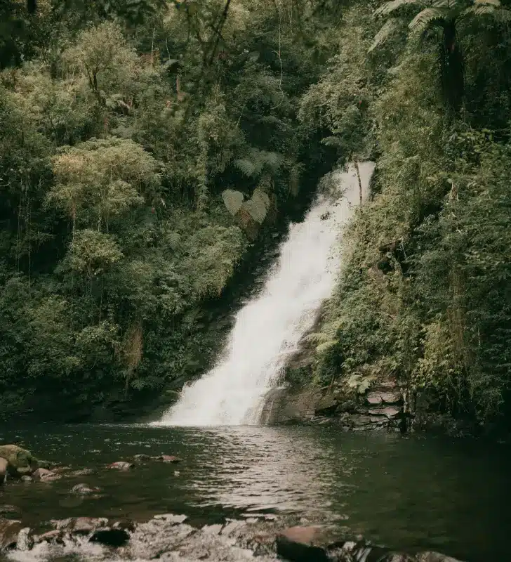 Visite Cascades du Hérisson
