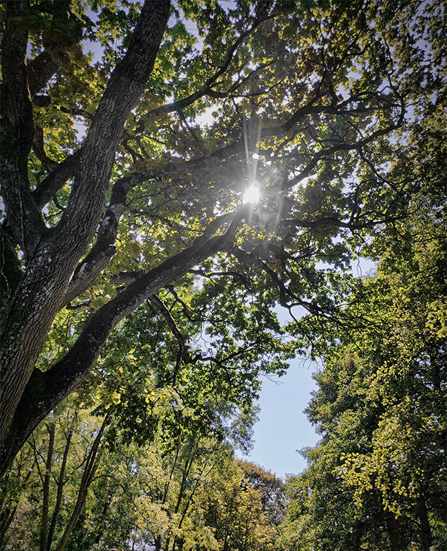 camping-campagne-ain