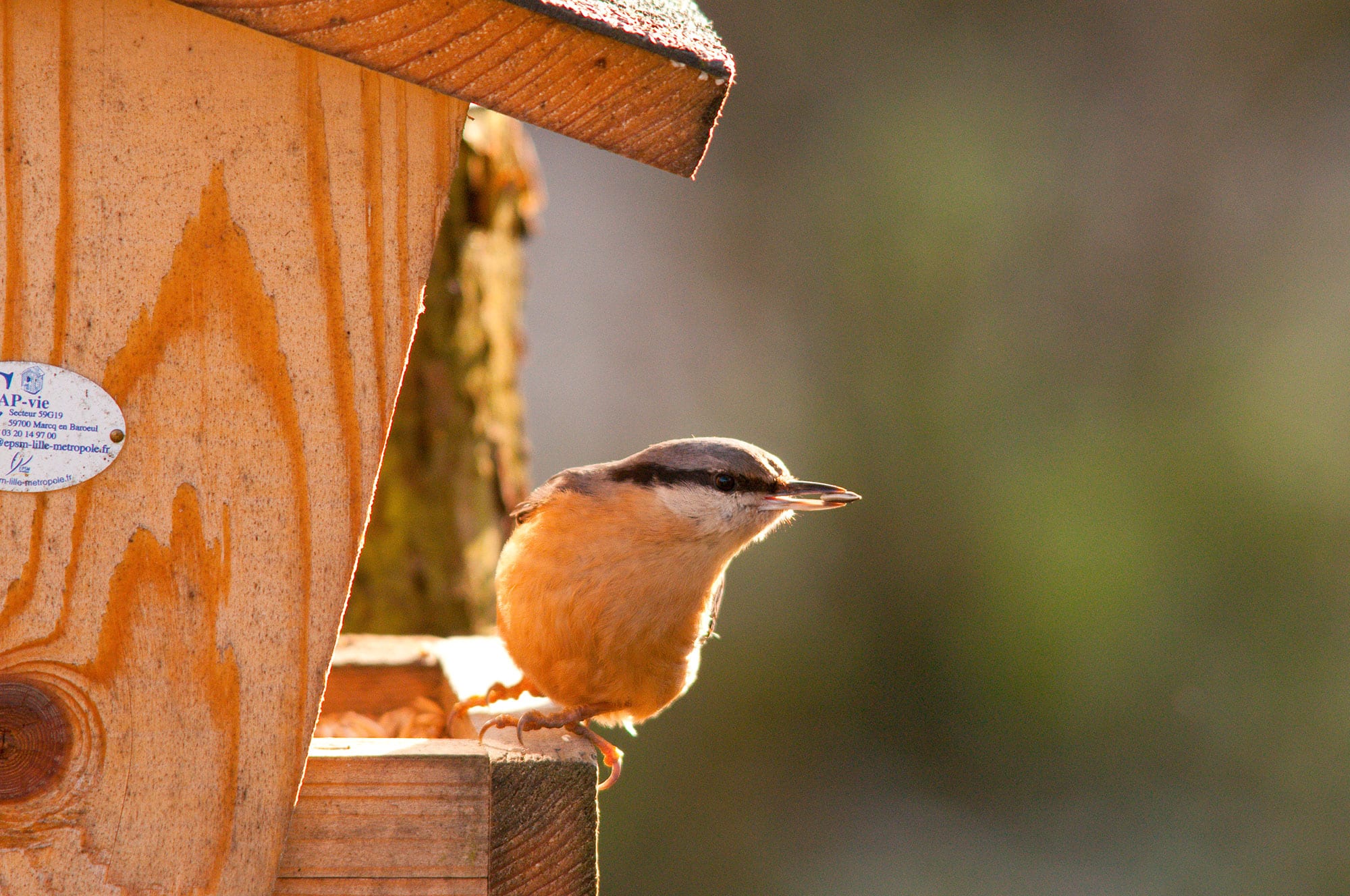 camping-ecolo-saone-et-loire