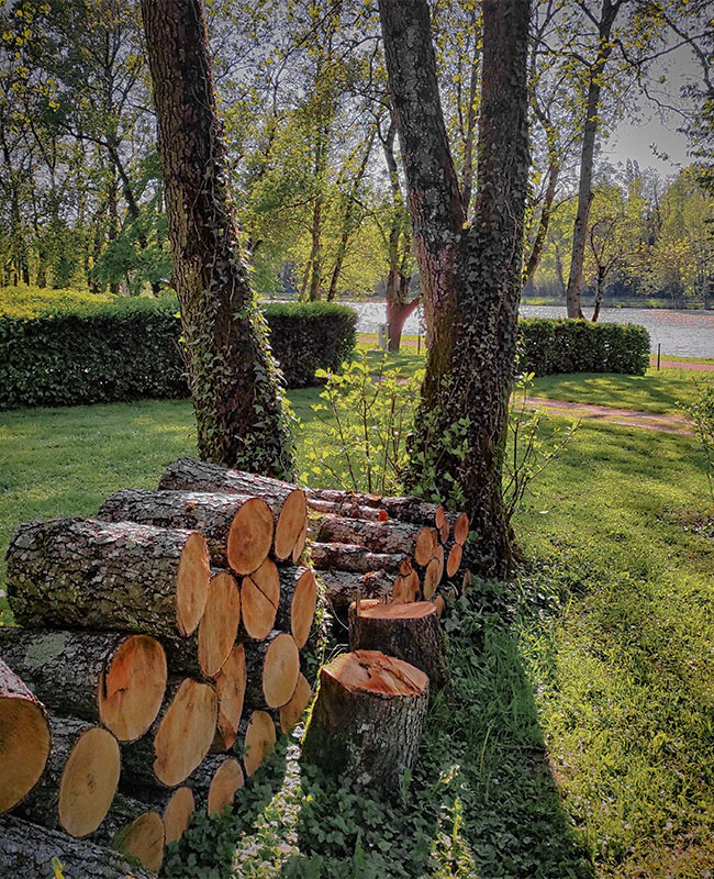 camping-nature-dogfriendly-ain