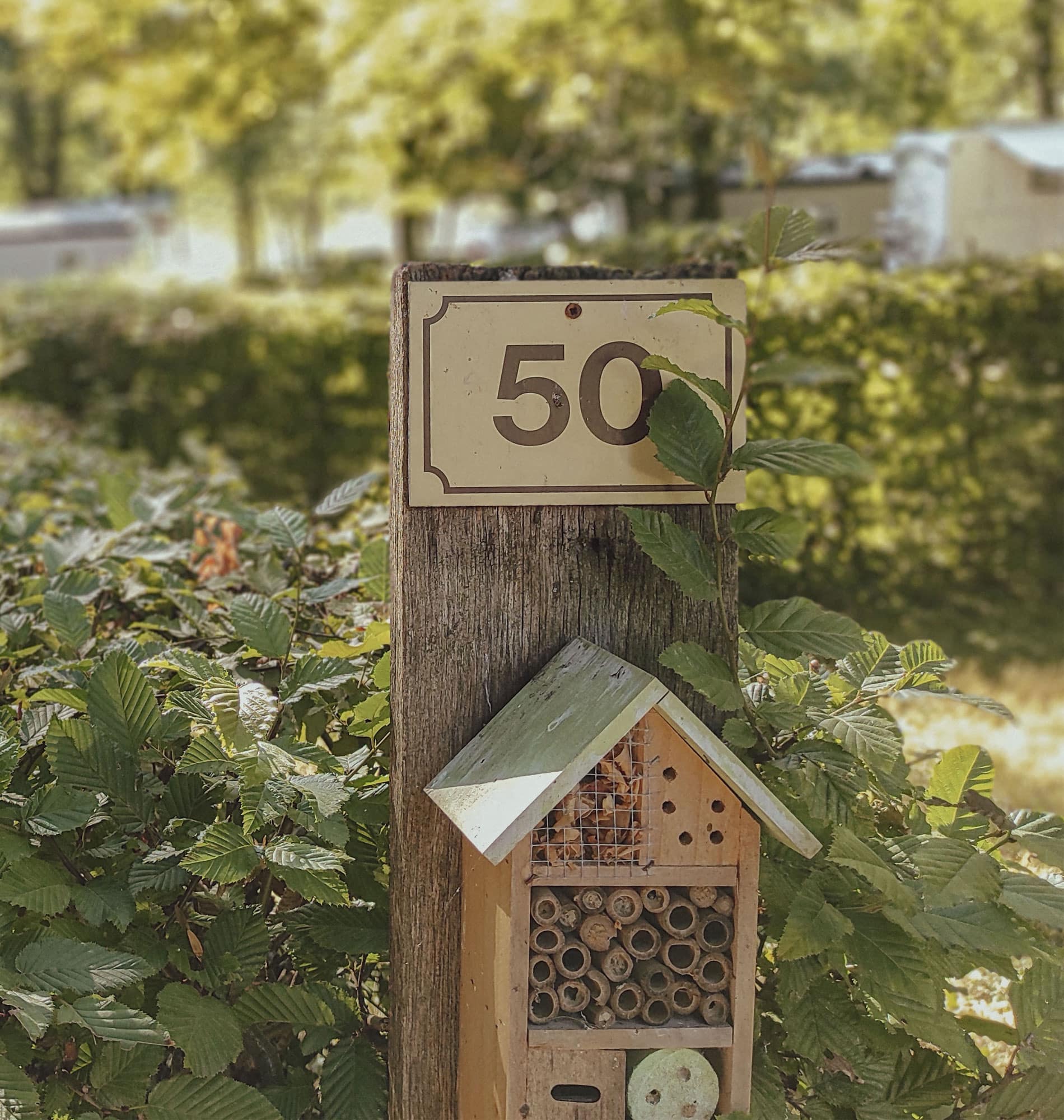 camping-refuge-lpo-ain