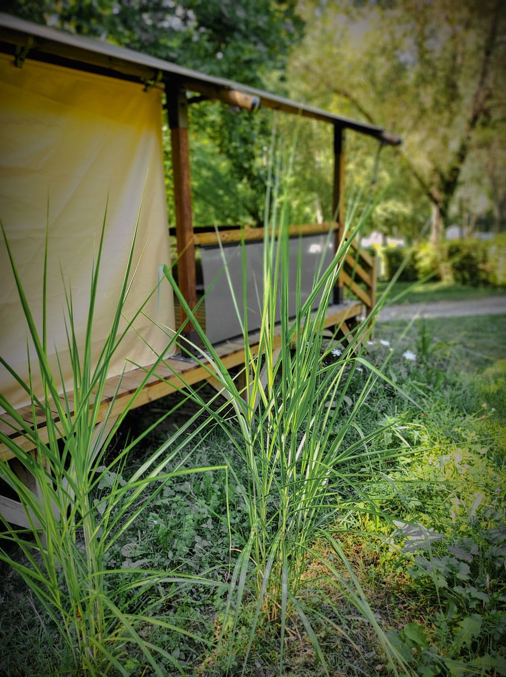 location-insolite-ain