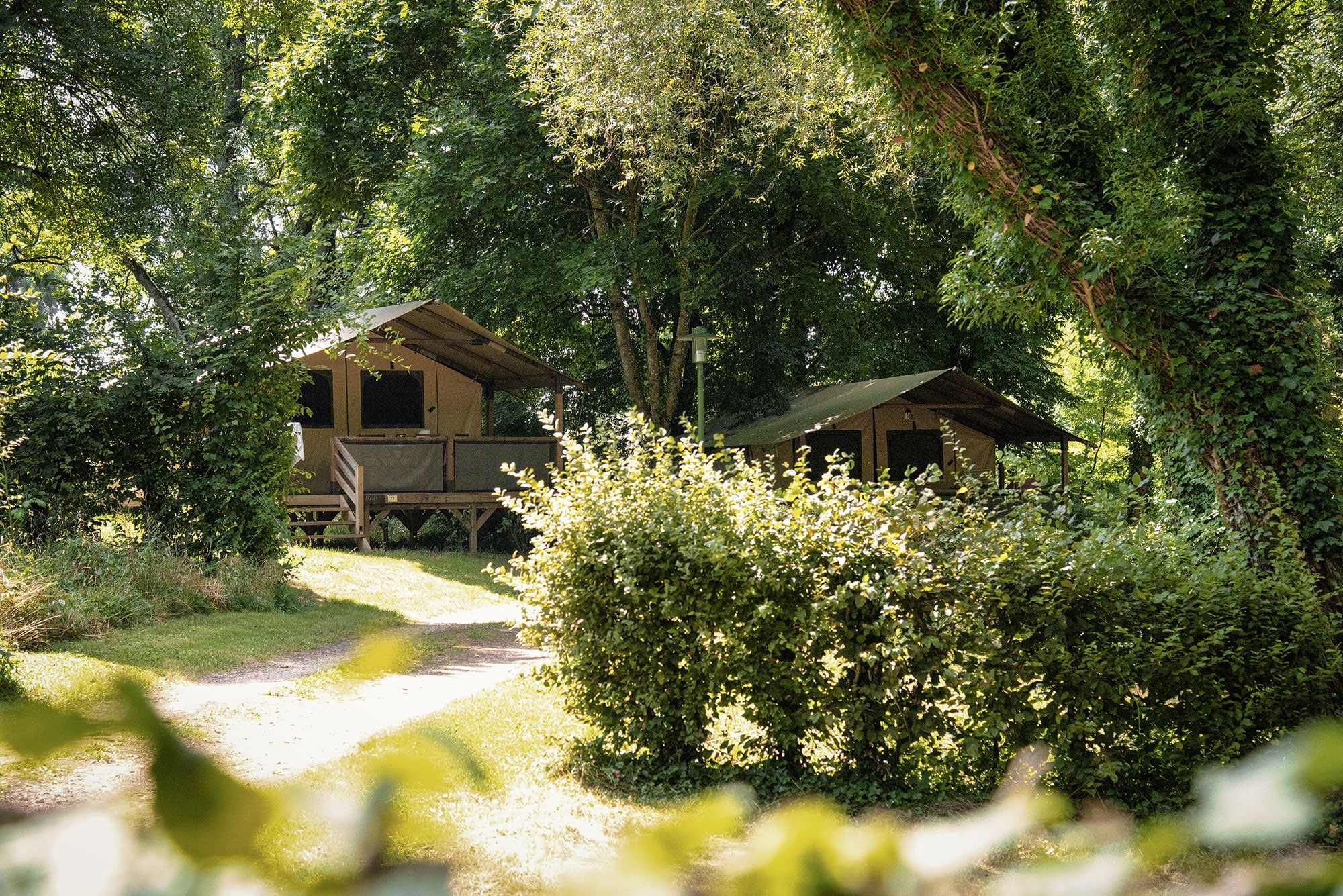 logement-en-pleine-foret-ain