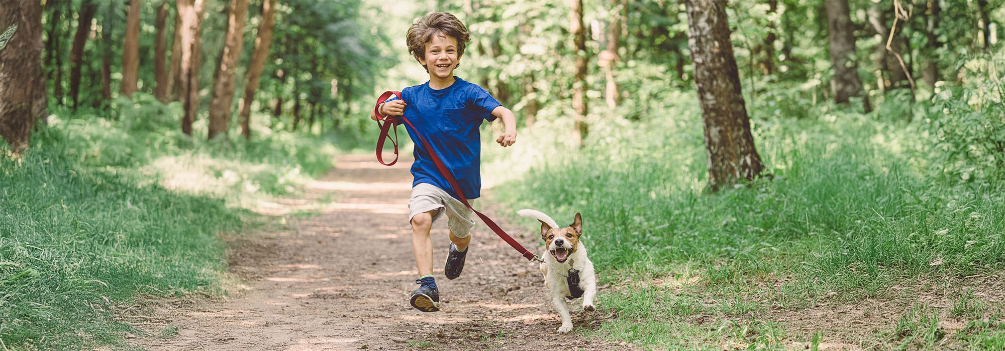 vacances-avec-chien-ain